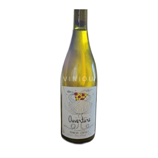 Burgundi Bourgogne Arnaud Chapuis Ouverture 2022