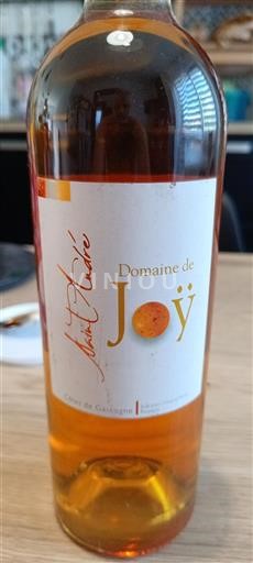 Sudoeste Côtes de Gascogne Domaine Joÿ 2014