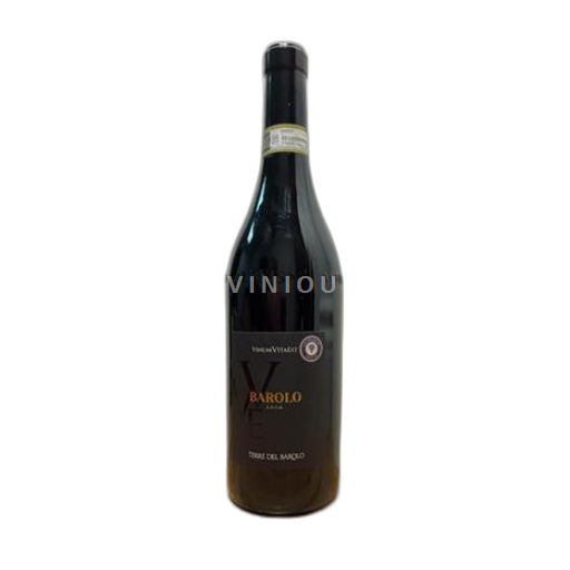 Piemonte Barolo Cantina Terre del Barolo Vinum Vita Est 2019