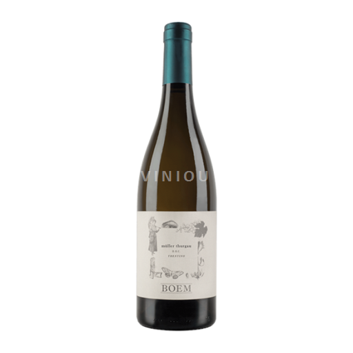 Wines of Trentino-Alto Adige Müller Thurgau  (Cantina La Vis) Müller Thurgau 2023