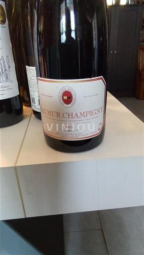 Valle del Loira Saumur-Champigny La Fontaine des Guerris 2005
