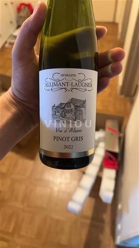 Alsazia Pinot grigio Grand Cru Domaine Allimant-Laugner 2022