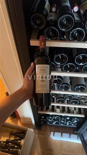 Sydvestfrankrig Cahors Domaine Campoy Flavius 2020