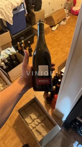 Valle del Loira Bourgueil Genie Lepin 2018