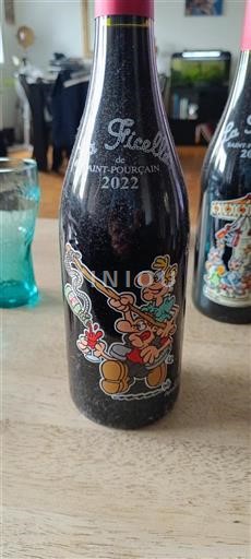 Valle della Loira Saint-Pourçain La Ficelle 2022