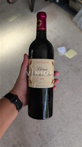 Bordeaux Saint-Julien Grand Cru Château Branaire-Ducru 2009