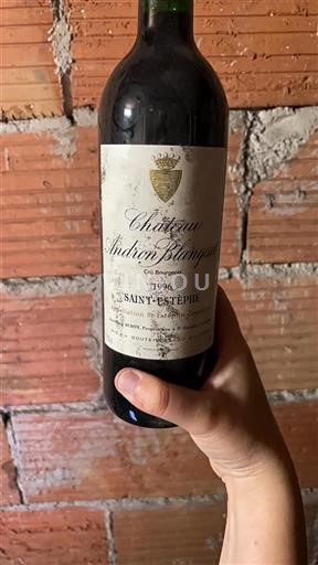 Burdeos Saint-Estèphe Cru Bourgeois Andron Blanquet 1996