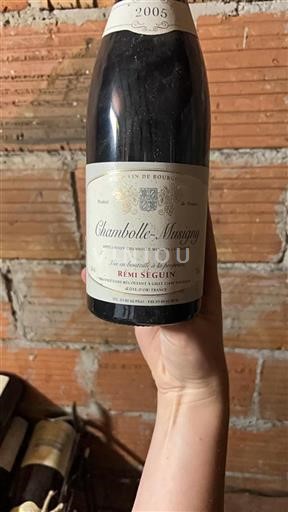 Burgund Chambolle-Musigny Rémi Séguin 2005