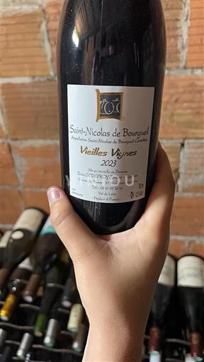Valle del Loira Saint-Nicolas-De-Bourgueil GODEFROY Jérôme Vieilles Vignes 2023