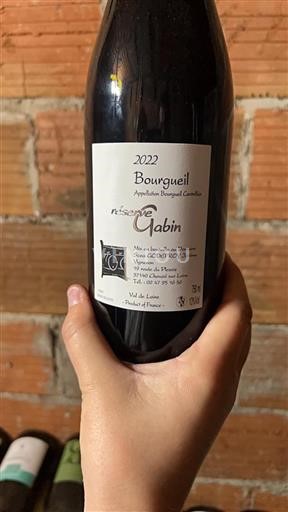 Valle del Loira Bourgueil Domaine Godefroy Réserve Gabin 2022