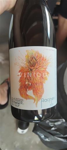 Vin Rouge sec Domaine La Pointe 2021 France Languedoc AOC