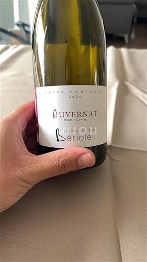 Údolí Loiry Saint-Pourçain Domaine Des Bérioles Auvernat 2024
