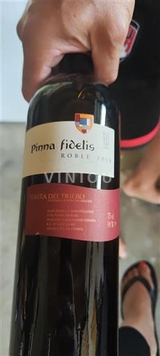 Castilien og León Ribera del Duero Pinna Fidelis Roble 2018