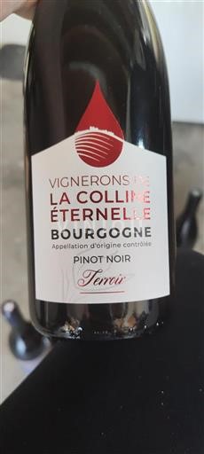 Borgoña Vignerons de la Colline Éternelle Terroir 2019