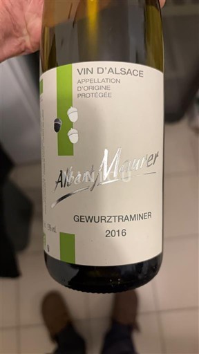 Alsacia Albert Maurer 2016