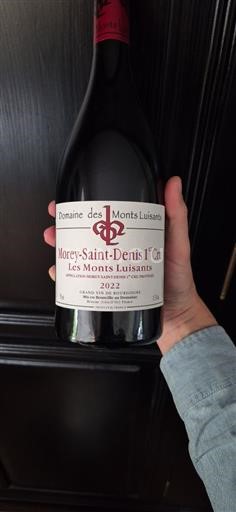 Burgundi Morey-Saint-Denis Premier Cru Domaine Des Monts Luisants Les Monts Luisants 2022