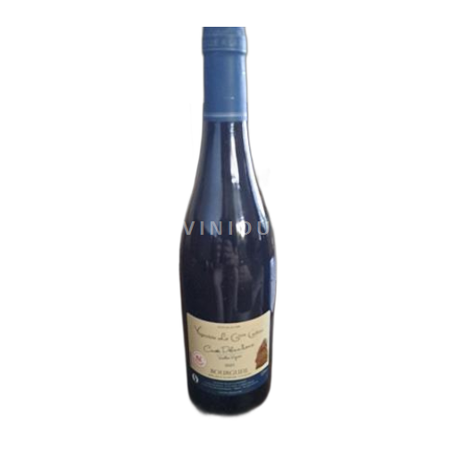Vin Rouge sec Cuvée Delan'houx Vignoble Le Gros Caillou 2021 France Vallée de la Loire Bourgueil AOC hve
