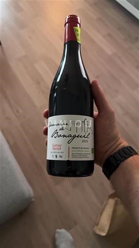 Sudoeste Côtes del Lot Domaine Bonaguil 2023