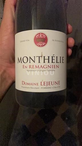 Borgogna Monthélie Domaine Lejeune En Remagnien Senza annata