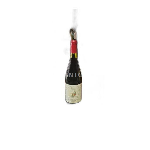 Loire Valley Chinon Domaine Camille 2002