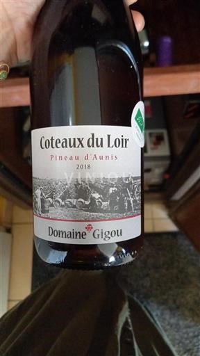 Valle della Loira Coteaux-du-loir Domaine Gigou Pineau d’Aunis 2018