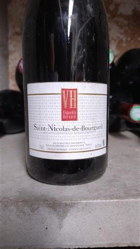 Loirevallei Saint-Nicolas-De-Bourgueil Vignoble Hersard Niet-geïntegreerd