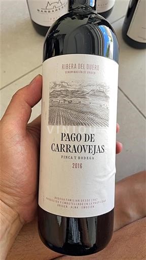 Castilien og León Ribera del Duero Pago de Carraovejas 2016