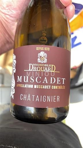 Valle del Loira Muscadet Vignoble Drouard Châtaignier 2024