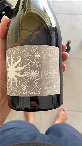 Corsica Île van Schoonheid Domaine Vecchio Bianco Gentile 2021