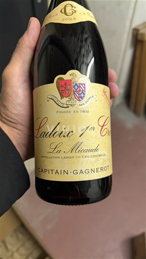 Bourgogne Ladoix Premier Cru Capitain-Gagnerot La Micaude 2023