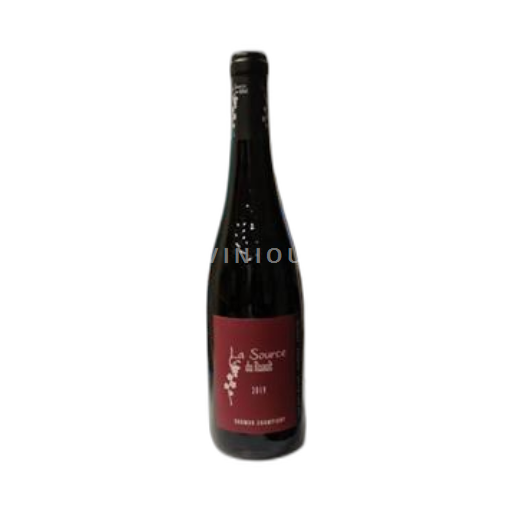Valle del Loira Saumur-Champigny La Source du Ruault 2019
