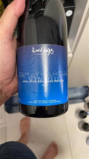Beaujolais David Large Gamayhaméha 2018