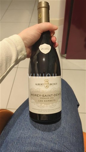Borgogna Morey-saint-denis Premier Cru Albert Bichot Les Sorbets 2020