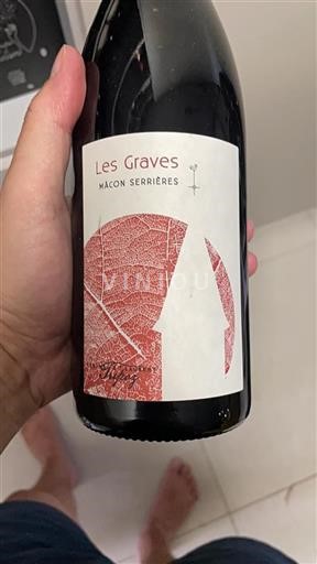 Bourgogne Mâcon och Mâcon-Villages Domaine Thirion Les Graves 2021