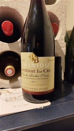 Burgundi Santenay Premier Cru Domaine Pierre Brazey Clos des Roches Noires 2023