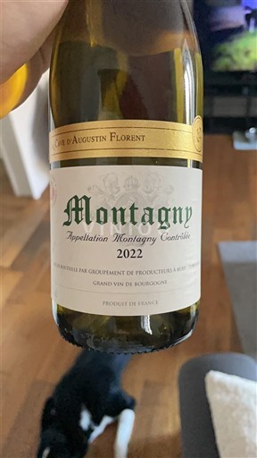 Bourgondië Montagny Cave Augustin Florent 2022