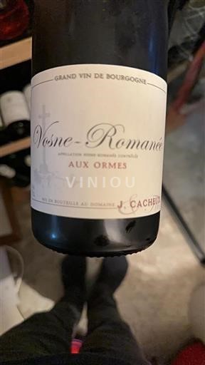 Bourgogne Vosne-romanée J. Cacheux Aux Ormes 2016