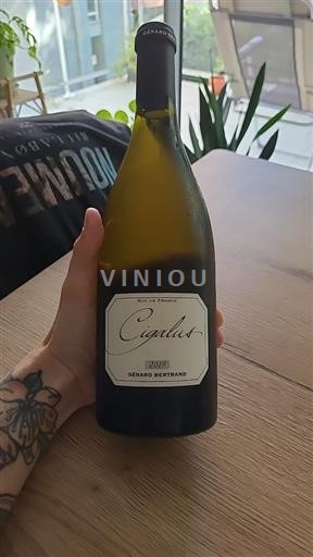 Languedoc-Roussillon Hauterive Gérard Bertrand Cigalus 2019