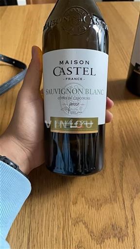 Sud-Ovest Côtes de Gascogne Maison Castel 2023