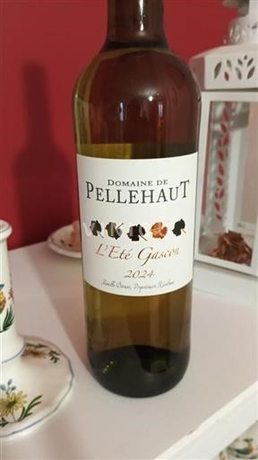 Südwestfrankreich Côtes de Gascogne Domaine Pellehaut L'Été Gascon 2024