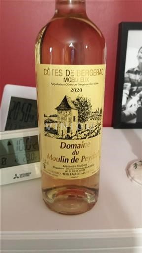 Lounais-Ranska Côtes-de-bergerac Domaine Moulin de Peytinat 2020