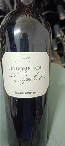 Languedoc Ikke specificeret Gérard Bertrand L'Indomptable de Cigalus 2022