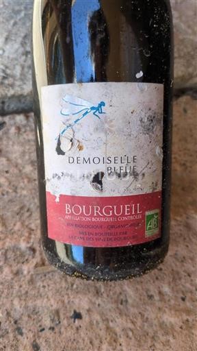 Valle del Loira Bourgueil La Cave des Vins de Bourgueil Demoiselle Bleue 2015