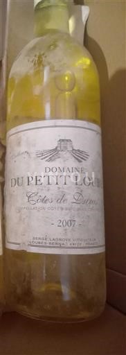 Sud-Ovest Côtes-de-duras Domaine Petit Loubé 2007
