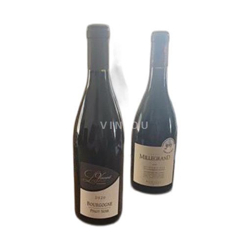 Vin Rouge sec Domaine Vincent Legou 2020 France Bourgogne AOC