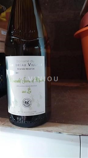 Loire Valley Muscadet Sèvre et Maine Domaine Landreau Village Grande Réserve Non-Vintage