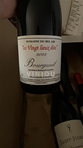 Valle del Loira Bourgueil Domaine Bel Air les Vingt lieux dits 2022