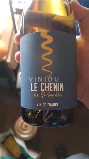 Loiredalen Ospecificerad Le Chenin des Possibles 2023