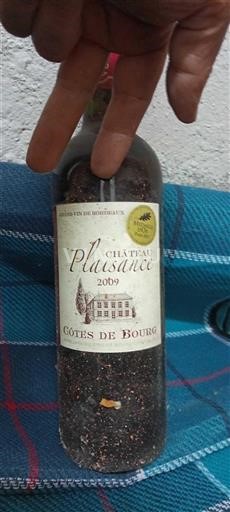 Bordeaux Côtes-de-bourg Château Plaisance 2009