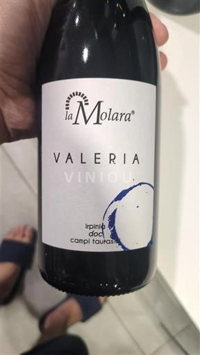 Kampanien Irpinia La Molara Valeria 2017